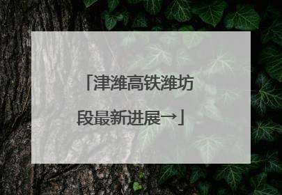 津潍高铁潍坊段最新进展→